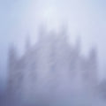 Nebbia