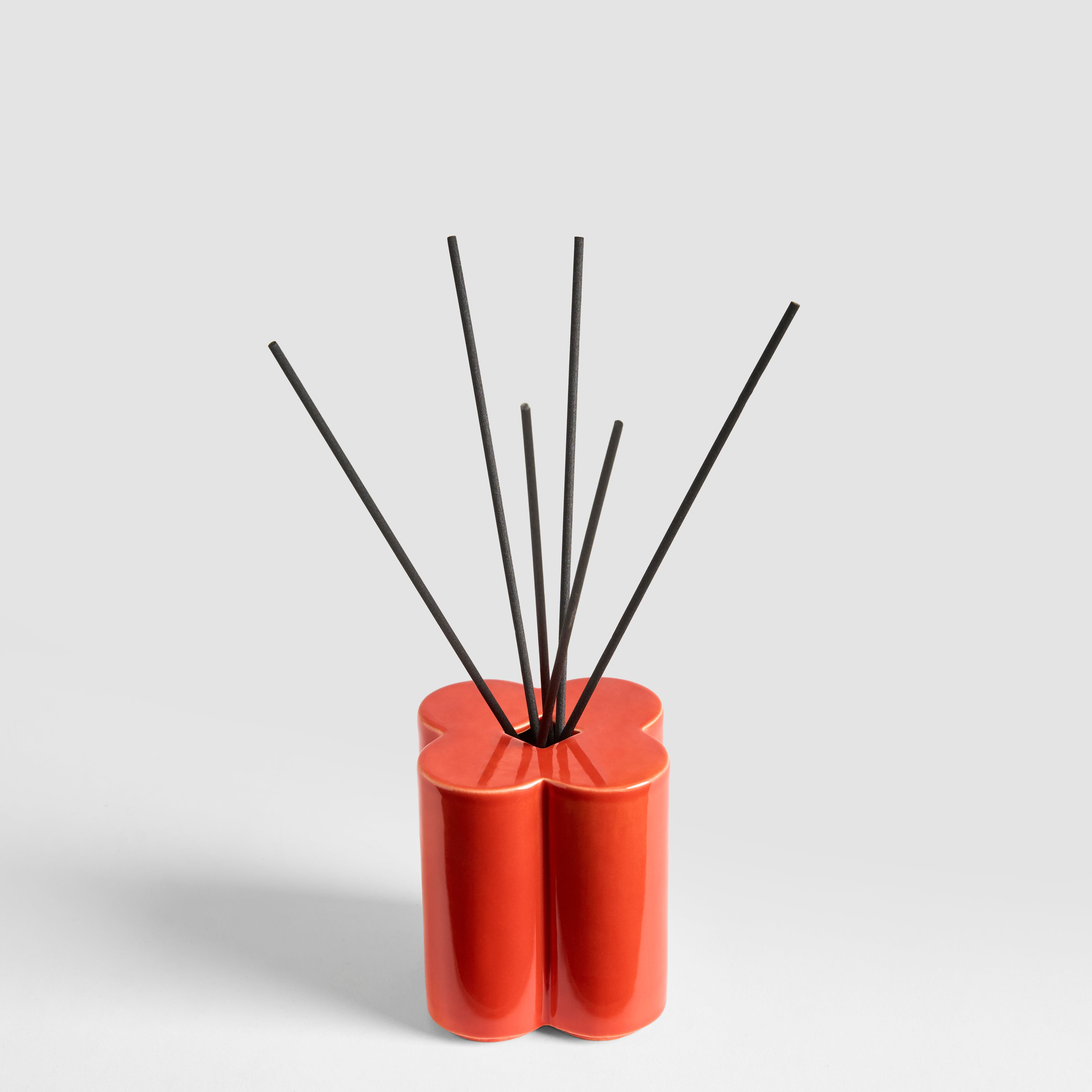 Bastoncini per Diffusore piccolo